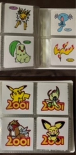 ポケットピカチュウカラー/金銀と一緒　新古