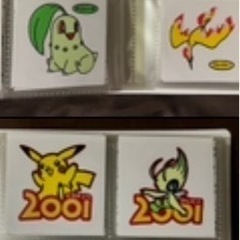 ポケットピカチュウカラー/金銀と一緒 新古