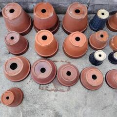 鉢植え、プランター多数の画像