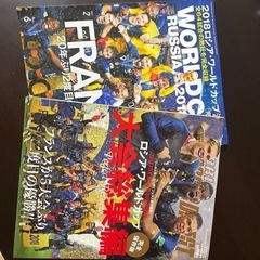 サッカーワールドカップロシア総集編　美品