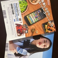 サッカーワールドカップロシア総集編　美品の画像