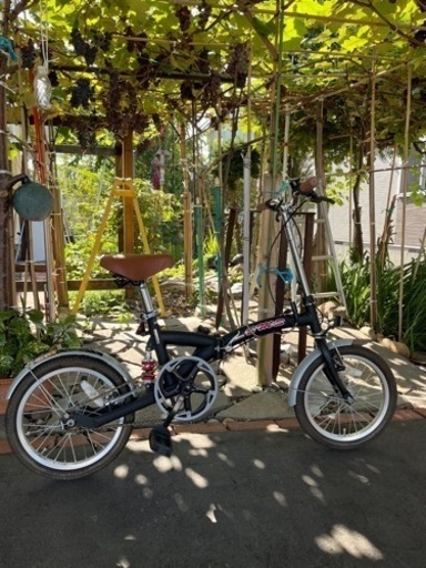 折りたたみ
自転車、16インチ