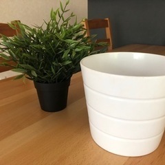 フェイクグリーン、鉢セットの画像