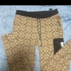 coachセットアップの画像