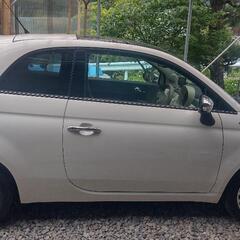 FIAT500 1.4の画像