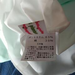 フラダンス パウスカートの画像