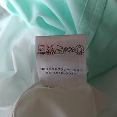 フラダンス パウスカートの画像