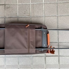 欲しい方どうぞ。布製キャリーバッグの画像