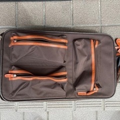 欲しい方どうぞ。布製キャリーバッグ