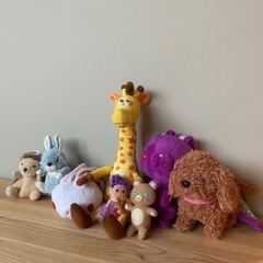 【受け渡しの方決まりました！】もらってください。ぬいぐるみたち。の画像