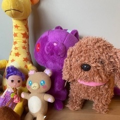 【受け渡しの方決まりました！】もらってください。ぬいぐるみたち。の画像