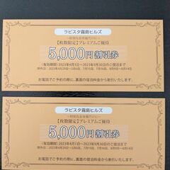 ラビスタ霧島　割引券