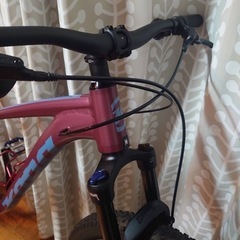 マウンテンバイクコナの画像
