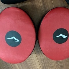 EVERLAST ボクシング　グローブ　ミットの画像