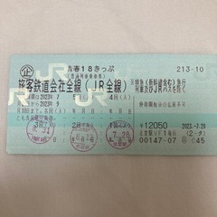 18きっぷ　2回分