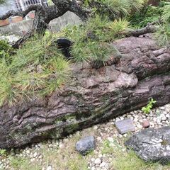 庭の赤い石　横二メートル　赤石？