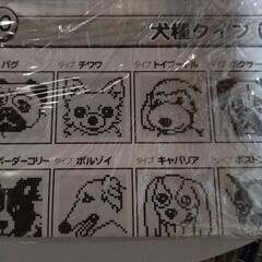ワンちゃんの【はしゃぎ指数】わかりますの画像