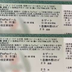 【募集一時停止】本日9月8日 PayPayドーム1塁側外野スタン...