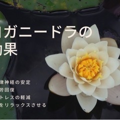デリバリーヨガ！お好きな場所で出張ヨガレッスン受けてみませんか？の画像