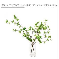 【売れました】美品primaプリマフェイクグリーン造花ドウダンツツジwウォーター60cm花瓶付き観葉植物フェイカの画像