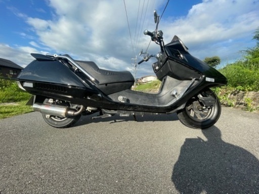 フュージョン 250