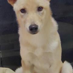 幸せになりたいボク(*ฅ́˘ฅ̀*)♡急募❣️