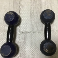 鉄アレー　4kg ✖️2の画像