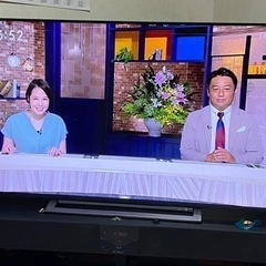 東芝55型4Kテレビ　55M530X