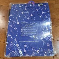 【これを見つけた人はラッキー！】キャスト ダッフィーコス②の画像