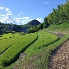 残り１袋　令和５年産棚田米　コシヒカリ玄米３０キロ！