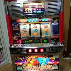 4号機　サバンナパーク　メダル不要　家庭電源OK