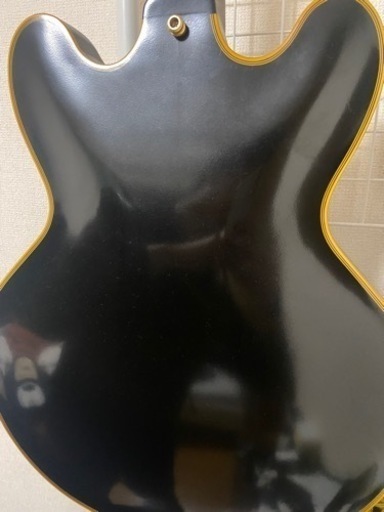 エドワーズ　セミアコ