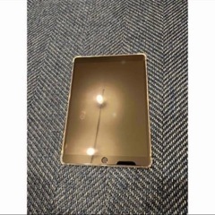 ipad pro 10.5 64GB グレー