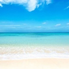 🏖️沖縄県人会in埼玉🐠 - 友達