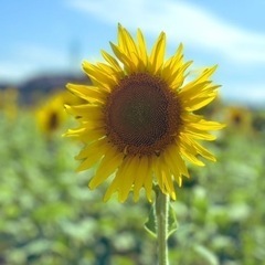 生きるって。