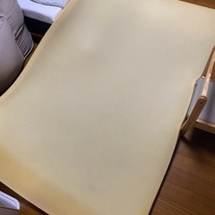 受付終了【中古1000円】トゥルースリーパー