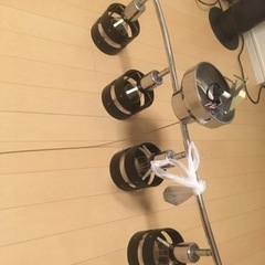シーリングライト　照明