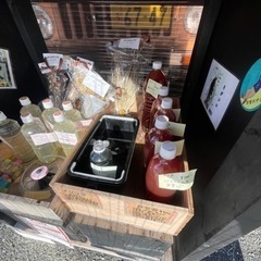 🐢無人販売　上原メダカ‼️ − 愛知県
