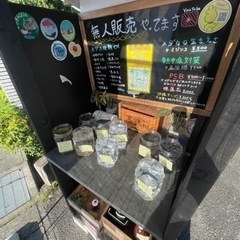 🐢無人販売　上原メダカ‼️ - 展示会