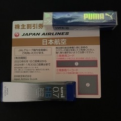 JAL 株主優待券　1枚（2024年11月30日まで有効）