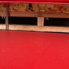 訳あり 三人掛けローソファーベットの画像