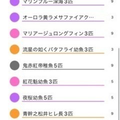 【9/21更新残り45本】メダカくじ　1回300円　特賞【ミッドナイトフリル体外光TYPE】の画像