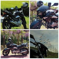 GSR250 SUZUKI 2気筒2本ﾏﾌﾗｰ250cc