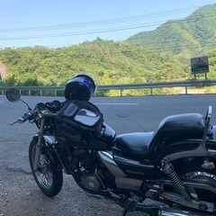 エリミネーター250 