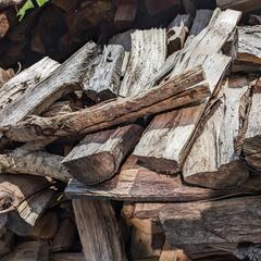 1年半乾燥させた広葉樹針葉樹ミックス300kg♫の画像