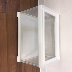エキゾテラ　レプテリアホワイト300