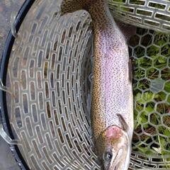 福島県の管理釣り場へGO！