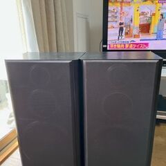 PIONEER Private B9用　スピーカー S-X950Vの画像