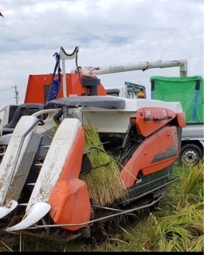 稲刈り　お手伝い　お米