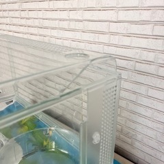 グラスハーモニー450 訳ありの画像